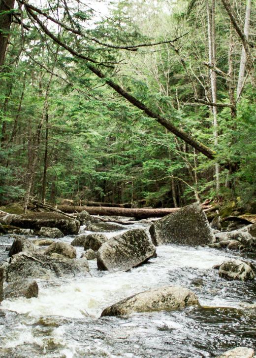 woods-creek